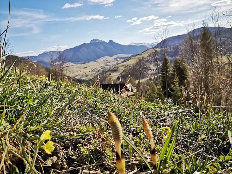 Penzion Zazrifka Зазрива Экстерьер фото