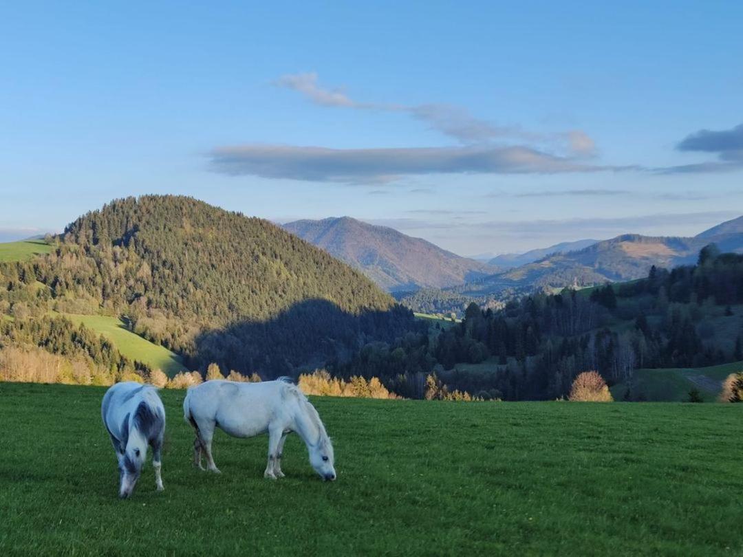 Penzion Zazrifka Зазрива Экстерьер фото