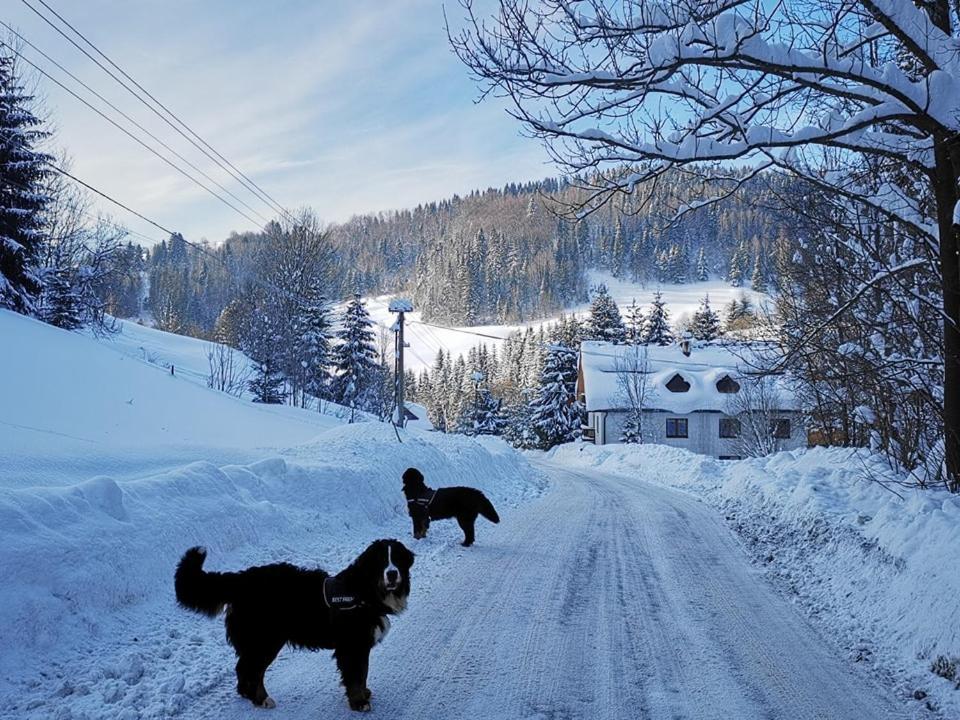 Penzion Zazrifka Зазрива Экстерьер фото